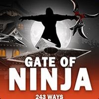 Gate of Ninja