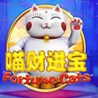 Fortune Cats